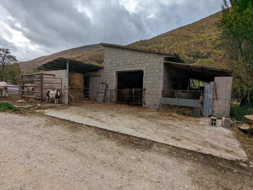 immobile magazzino all'asta in Via dell'Acquedotto Fraz Chiaserna snc - 61044 Cantiano (PU) - 2