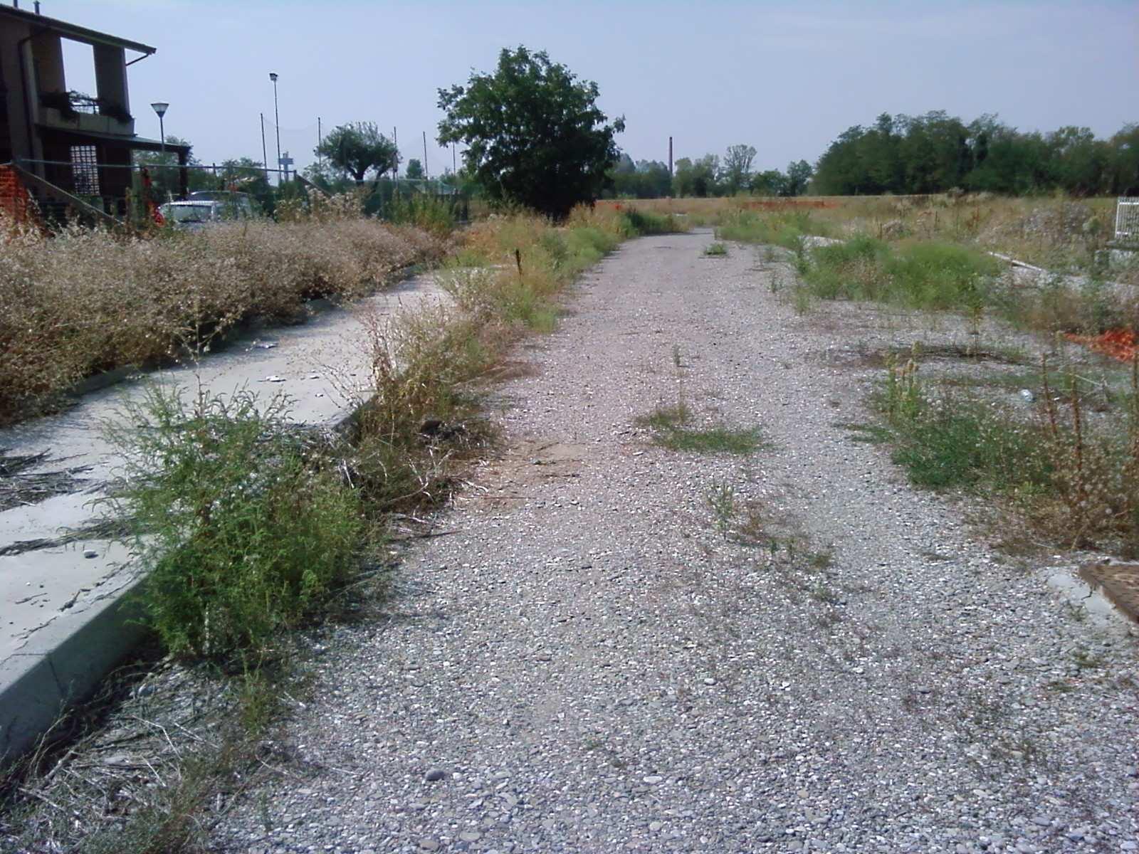 immobile terreno all'asta in Via Vignola snc - 29019 San Giorgio Piacentino (PC) - 2