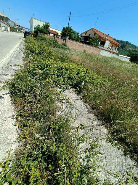 immobile terreno all'asta in Contrada S Pantaleone Piane, 66010 Piane CH, Italia - Miglianico (CH) - 4