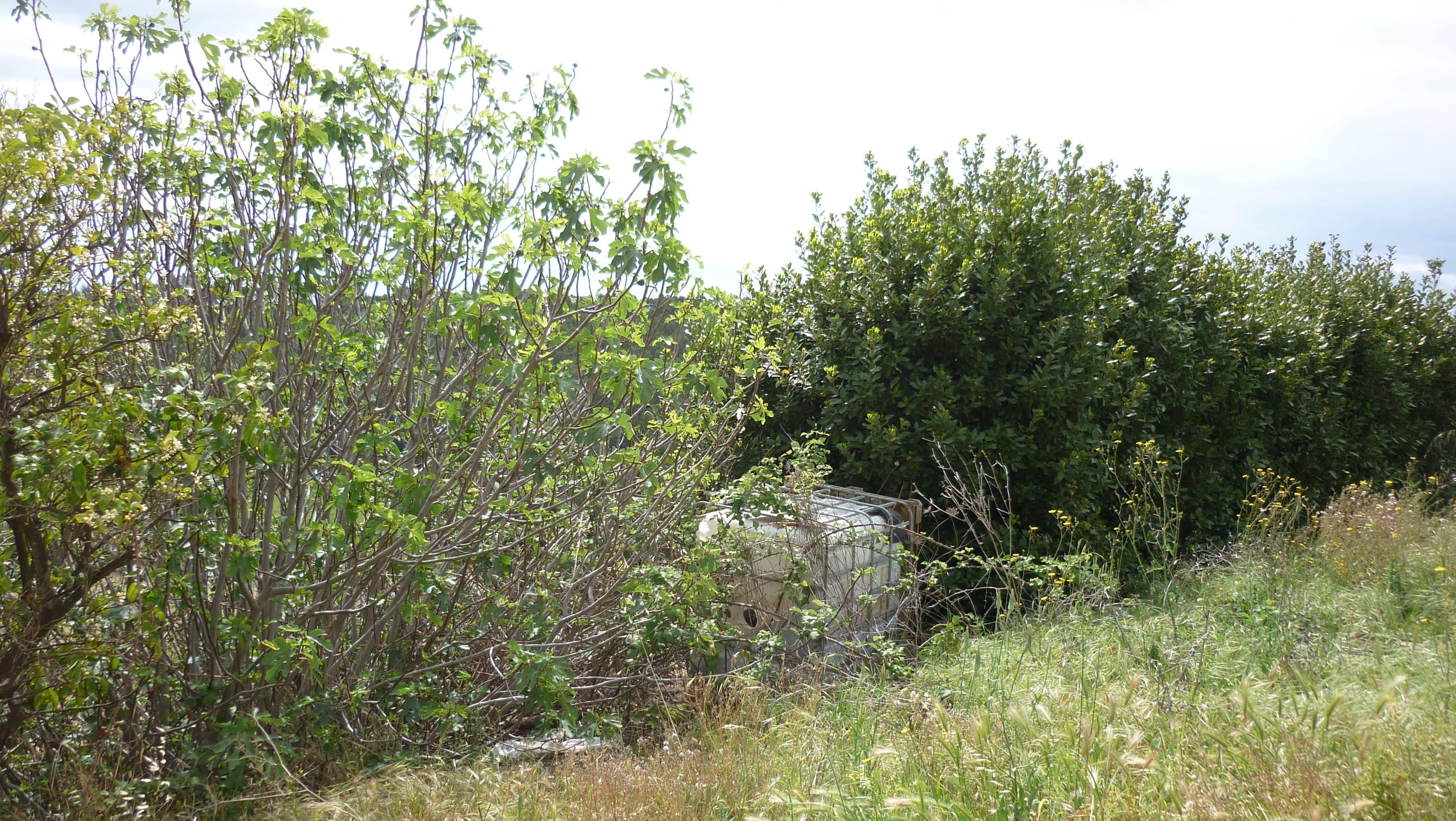 immobile rustico all'asta in Via Aurelia, 3, 75020 Scanzano Jonico MT, Italia Scanzano Jonico, Matera - 1
