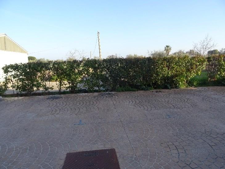immobile appartamento all'asta in Via San Pietro 16 - 66026 Ortona (CH) - 4