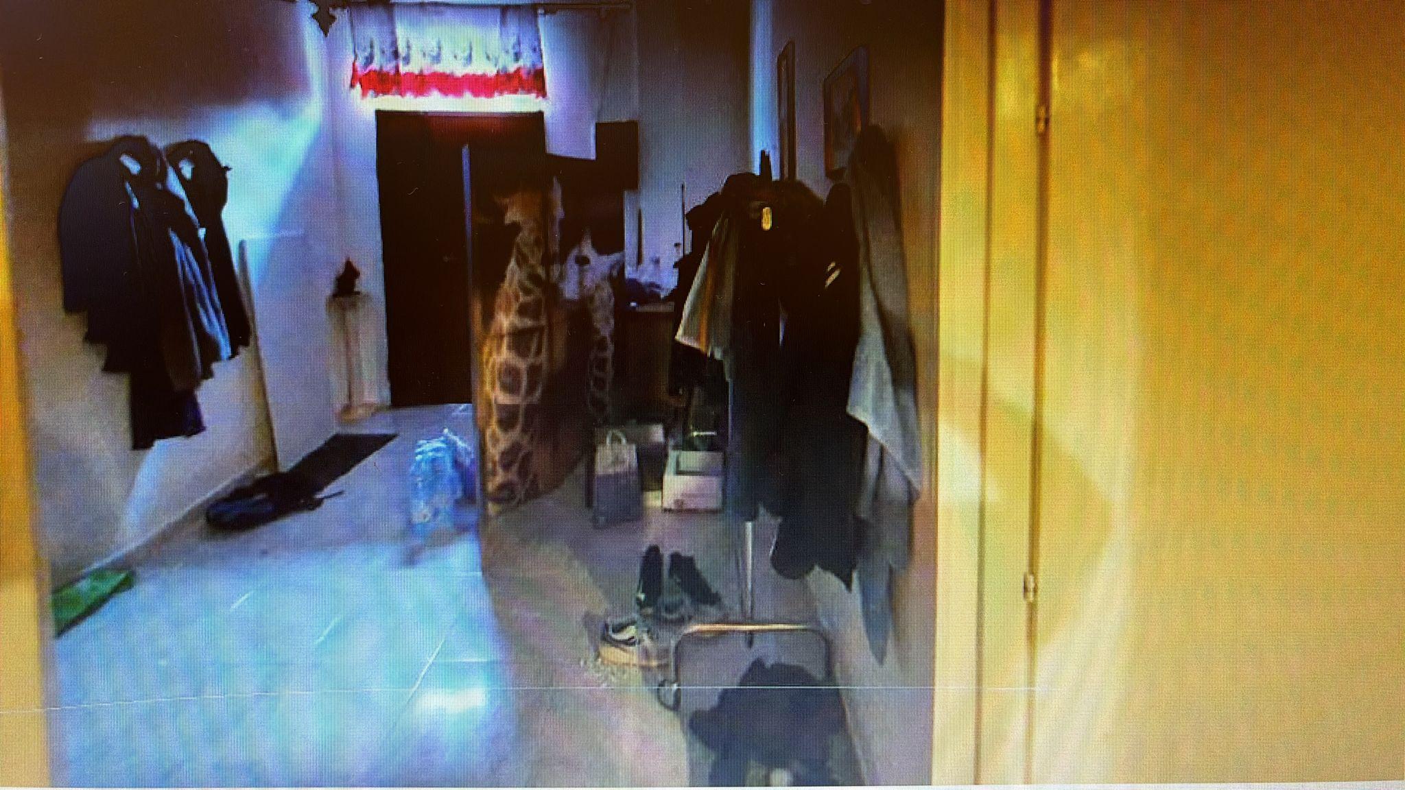 immobile appartamento all'asta in Via Novoli, 30, 73041 Carmiano LE, Italia Carmiano, Lecce - 5