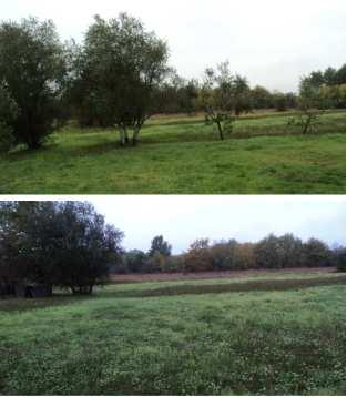 immobile terreno all'asta in Via nd 4/r - 50054 Fucecchio (FI) - 2