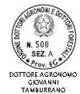 immobile appartamento all'asta in Via Ferrante Aporti, 71016 San Severo FG, Italia San Severo, Foggia - 1