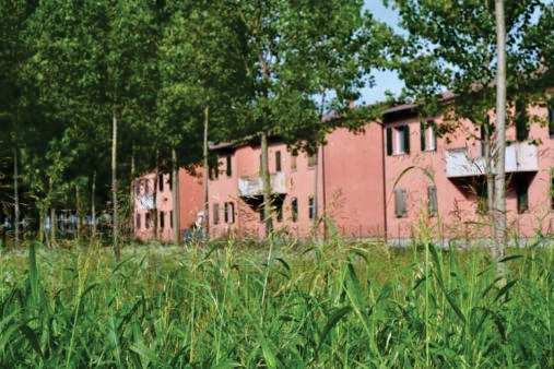 immobile appartamento all'asta in Via Maria Bonino, 7 - 37053 Cerea (VR) - 5