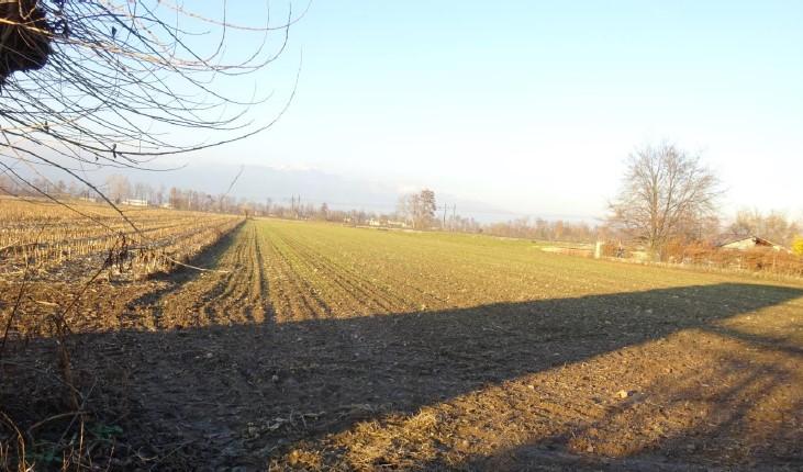 immobile terreno all'asta in Loria - 31037 Loria (TV) - 1