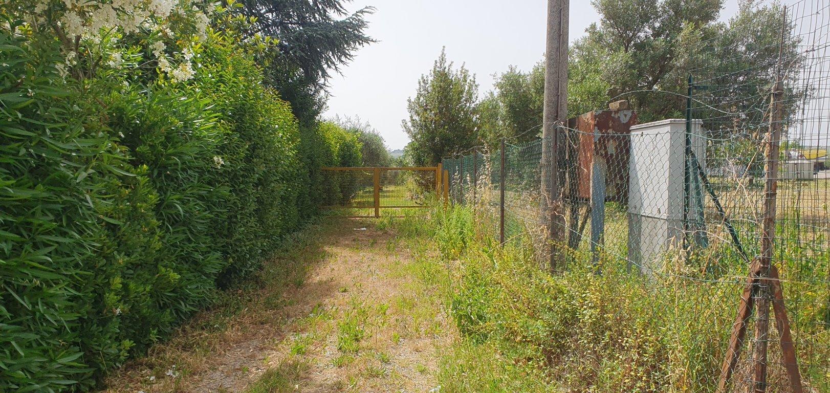 immobile appartamento all'asta in Via Forlì, 7, 64021 Giulianova TE, Italia Giulianova, Teramo - 1