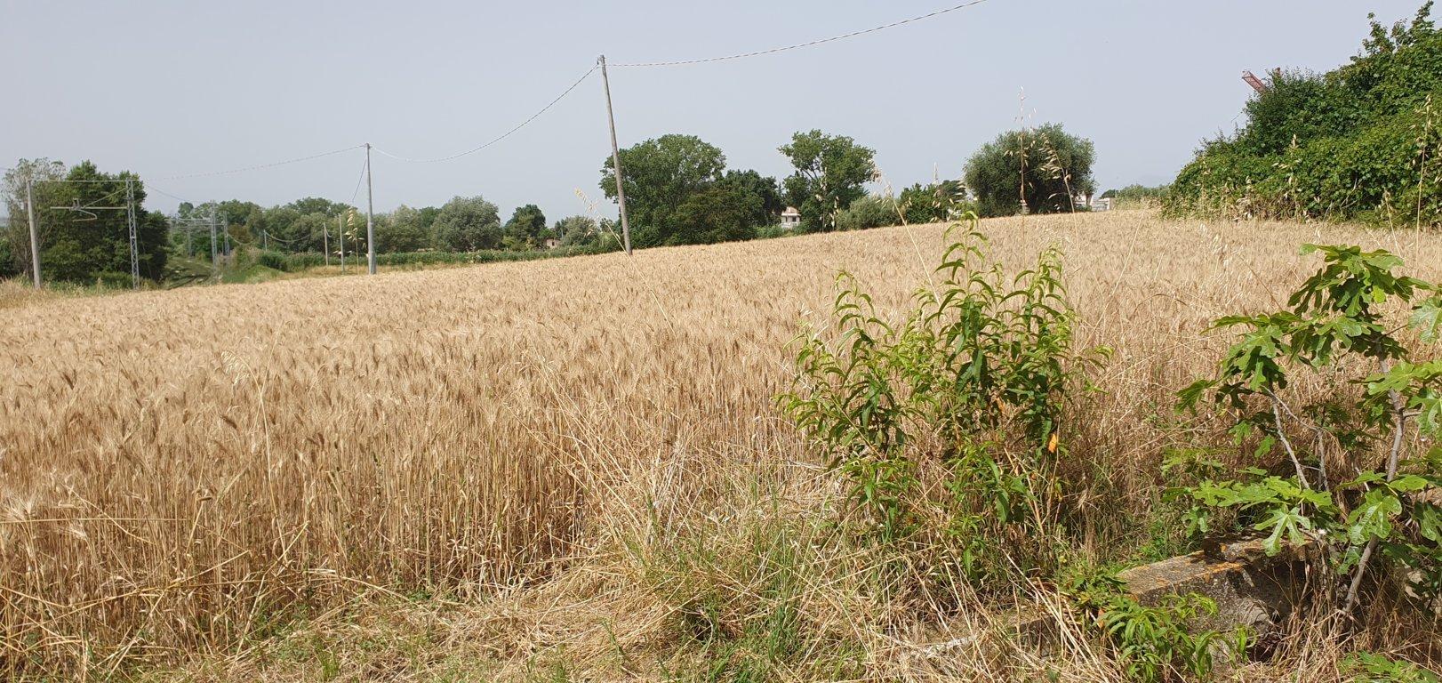 immobile appartamento all'asta in Via Forlì, 7, 64021 Giulianova TE, Italia Giulianova, Teramo - 4