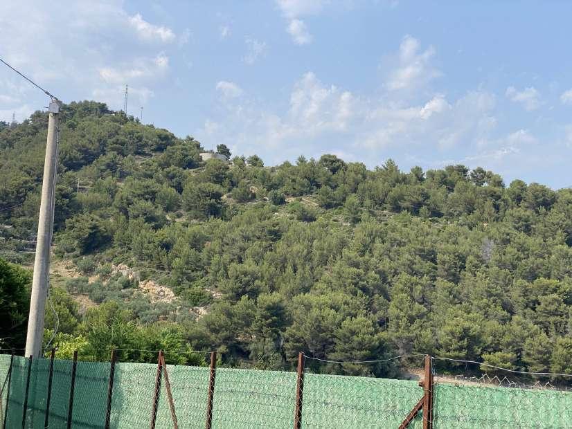 immobile terreno all'asta in Via ND - 18018 Taggia (IM) - 5