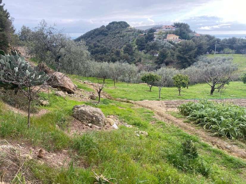 immobile terreno all'asta in Via ND - 18018 Taggia (IM) - 1