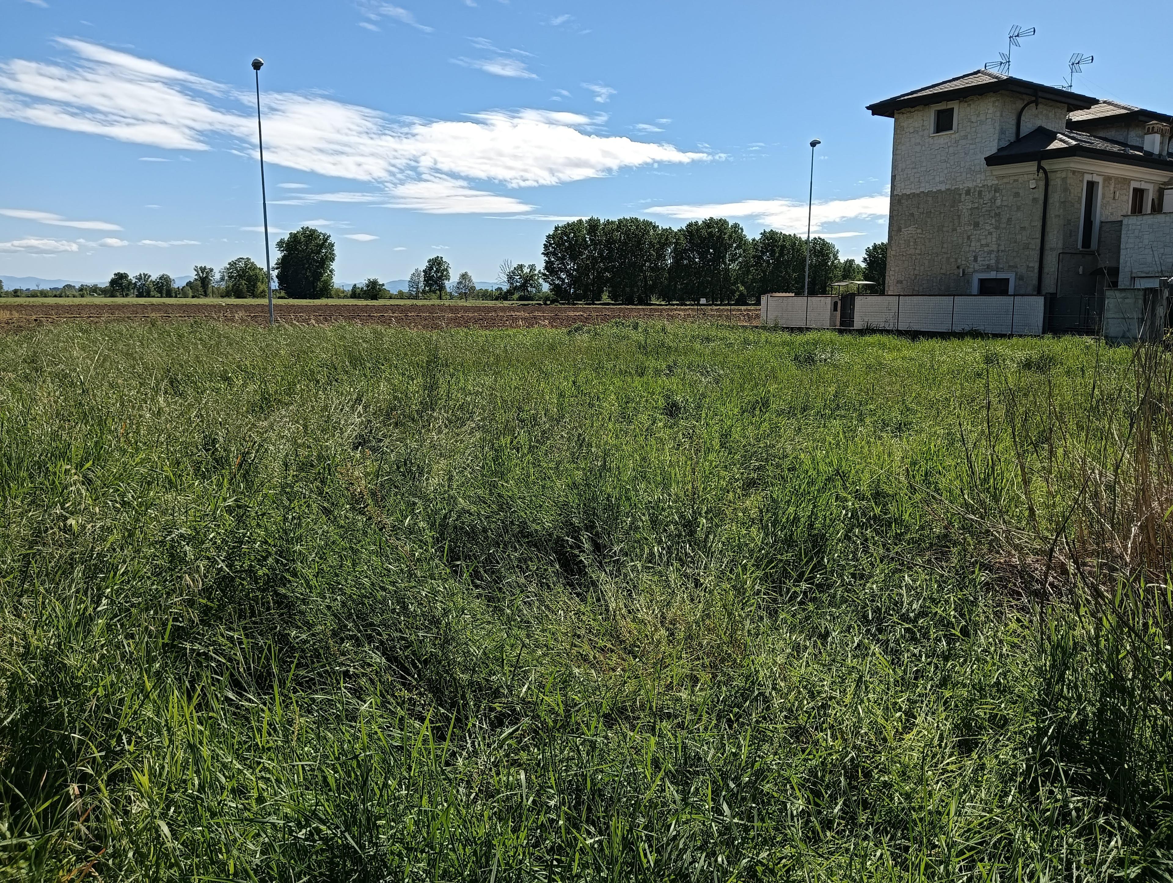 immobile terreno all'asta in Via ADe Gasperi, 26825 Mairago LO, Italia Mairago, Lodi - 1