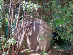 immobile appartamento all'asta in Viale Stazione, 10 - 54100 Massa (MS) - 1