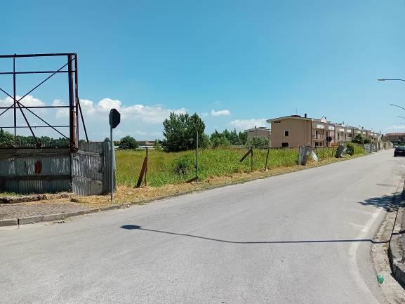 immobile terreno all'asta in via Capece Scondito snc - San Tammaro (CE) - 4