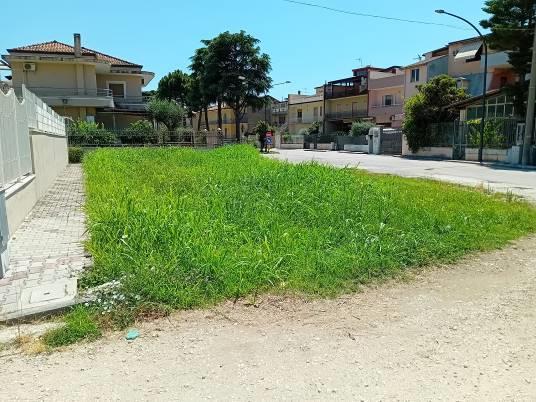 immobile terreno all'asta in via Capece Scondito snc - San Tammaro (CE) - 5