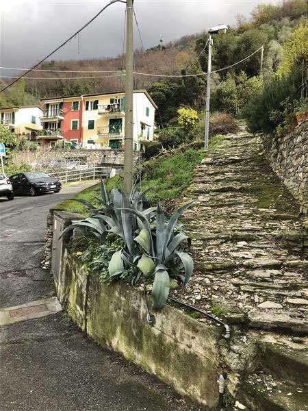 immobile appartamento all'asta in Via Pietrafitta, 7, 16036 Pietrafitta GE, Italia - Avegno (GE) - 3