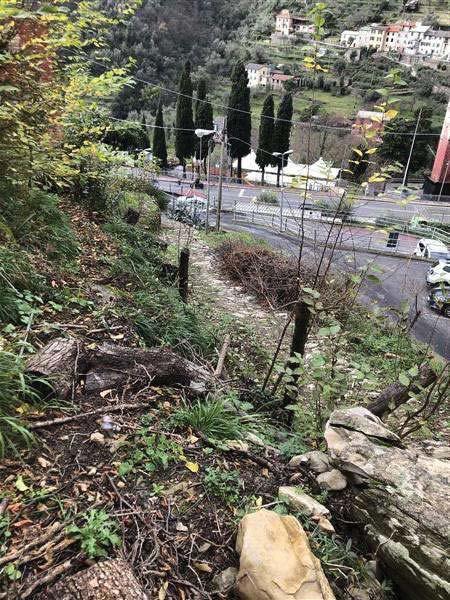 immobile terreno all'asta in Via Zerbi, 16036 Avegno GE, Italia Avegno, Genova - 4