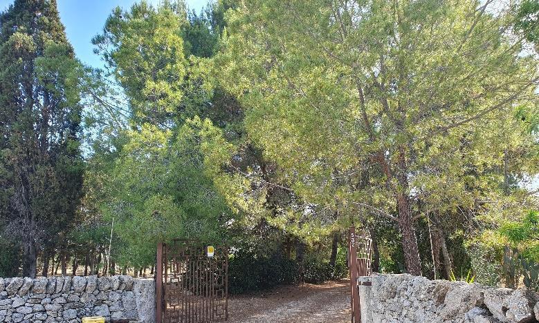 immobile appartamento all'asta in 74023 Grottaglie TA, Italia Grottaglie, Taranto - 3