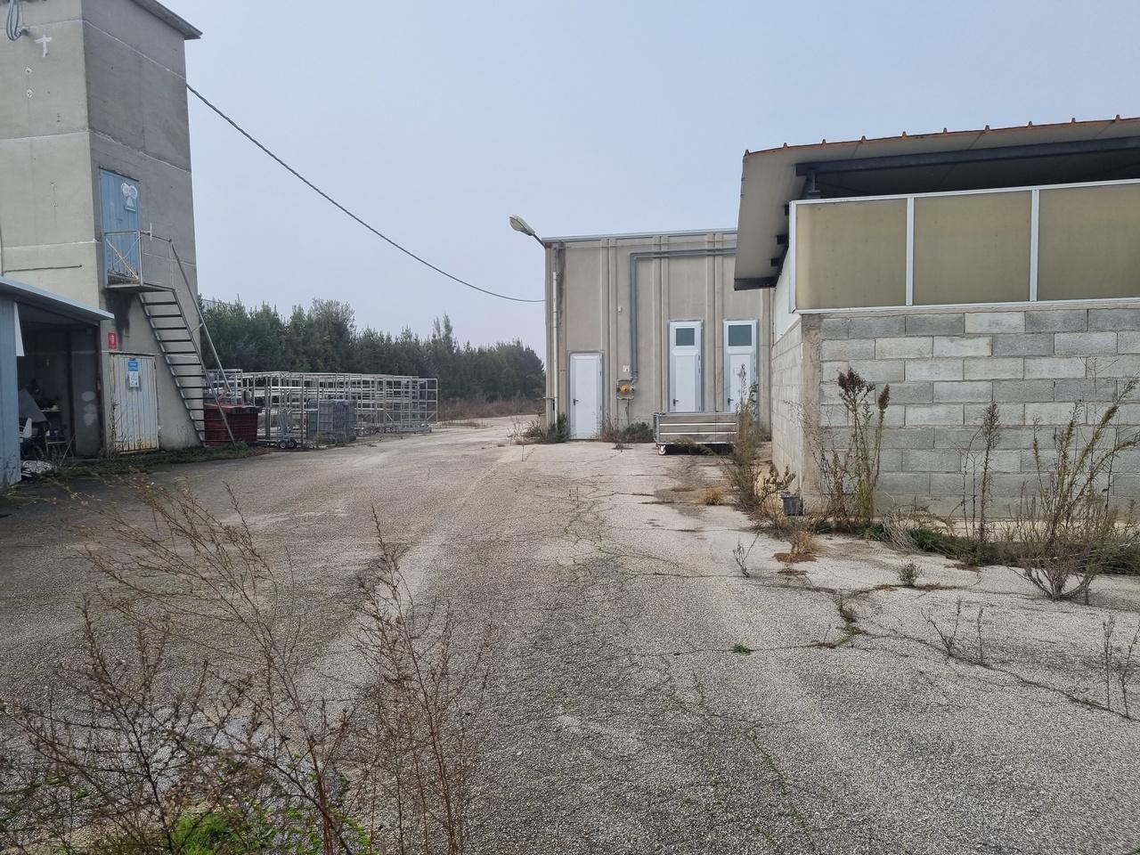 immobile appartamento all'asta in Via Recanatese, 25, 60022 Castelfidardo AN, Italia Castelfidardo, Ancona - 3