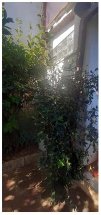 immobile appartamento all'asta in Via Merope, 94, 00042 Anzio RM, Italia Anzio, Roma - 2