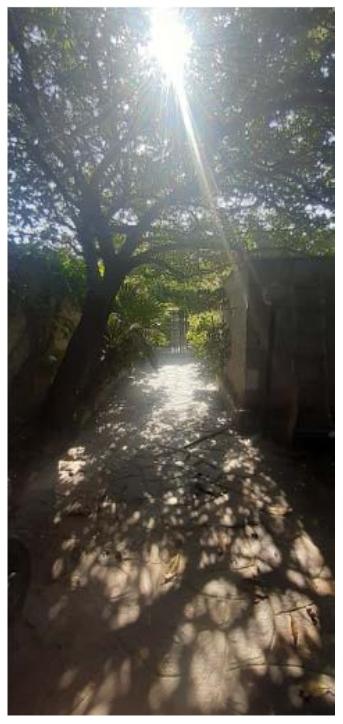 immobile appartamento all'asta in Via Merope, 94, 00042 Anzio RM, Italia Anzio, Roma - 3