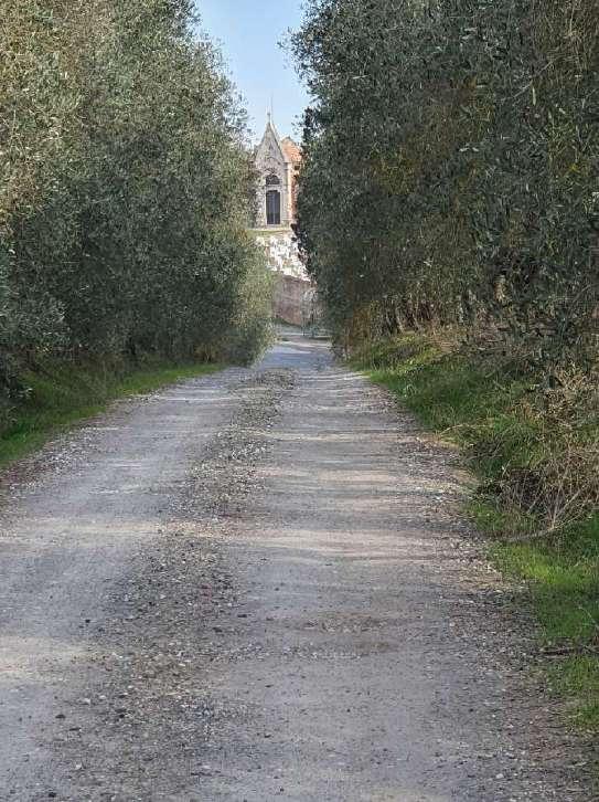 immobile attivita commerciale all'asta in Via Chiarenti 16/A - 50050 Montaione (FI) - 2