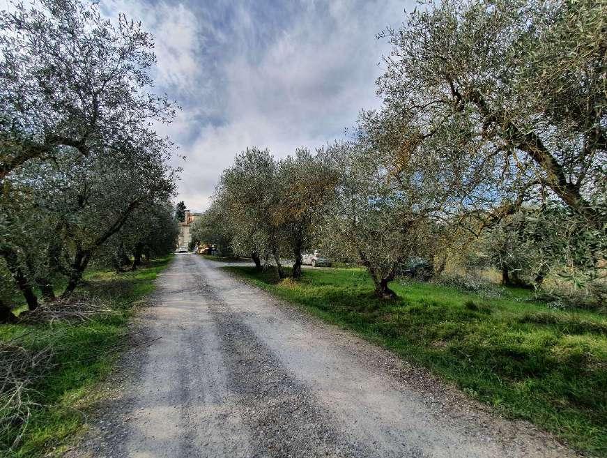 immobile attivita commerciale all'asta in Via Chiarenti 16/A - 50050 Montaione (FI) - 3