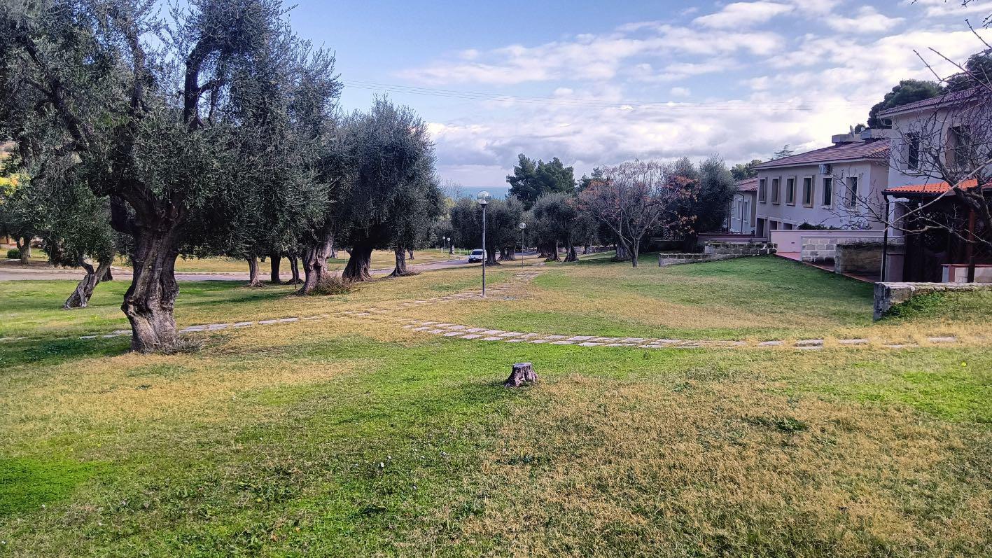 immobile villa all'asta in Località Pugnochiuso, snc - 71019 Vieste (FG) - 2