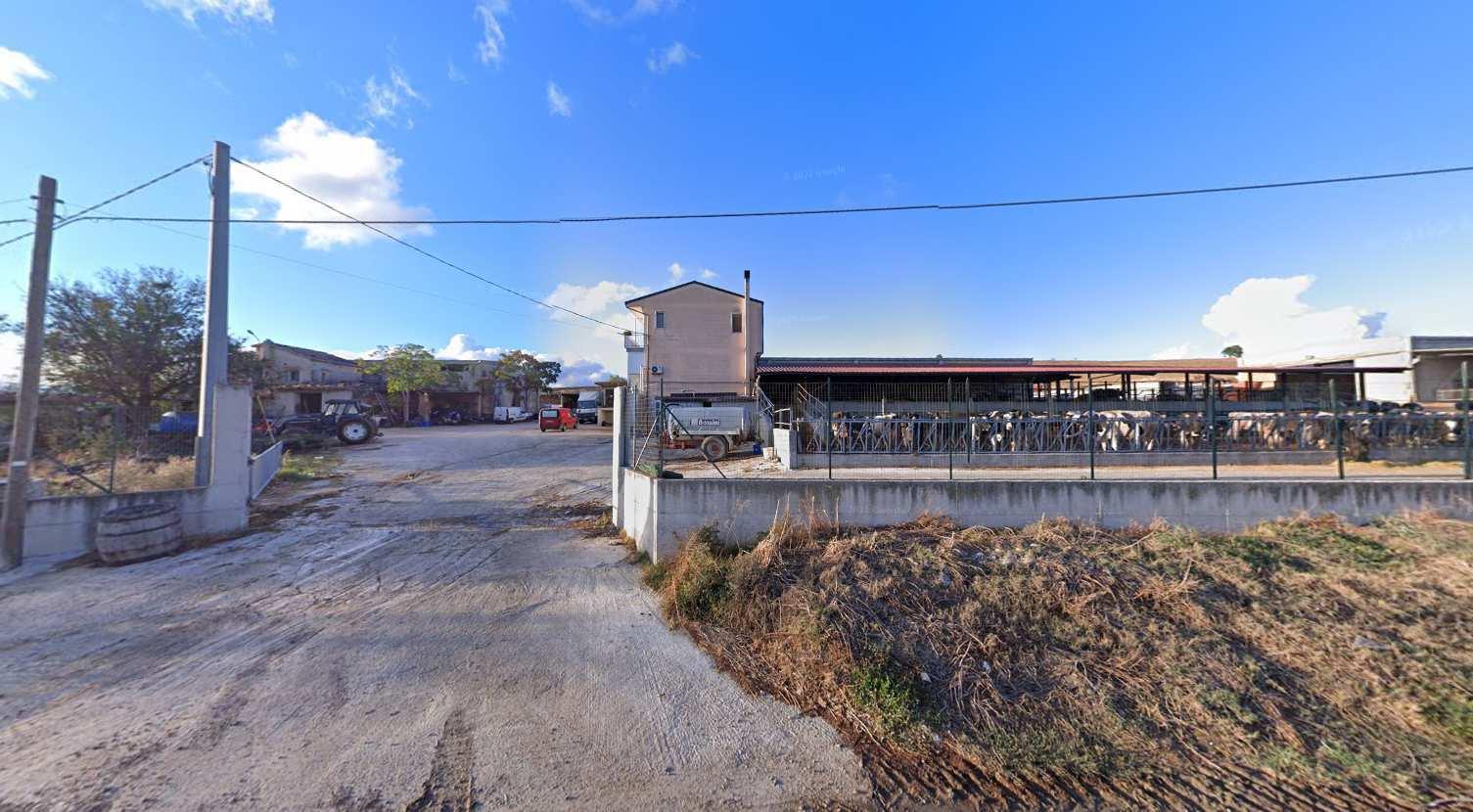 immobile terreno all'asta in cda SIANO - 85013 Genzano di Lucania (PZ) - 3
