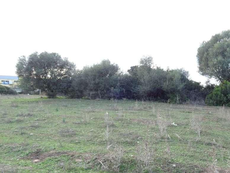 immobile rustico all'asta in Strada statale 25 n 26 - 07026 Olbia (SS) - 4