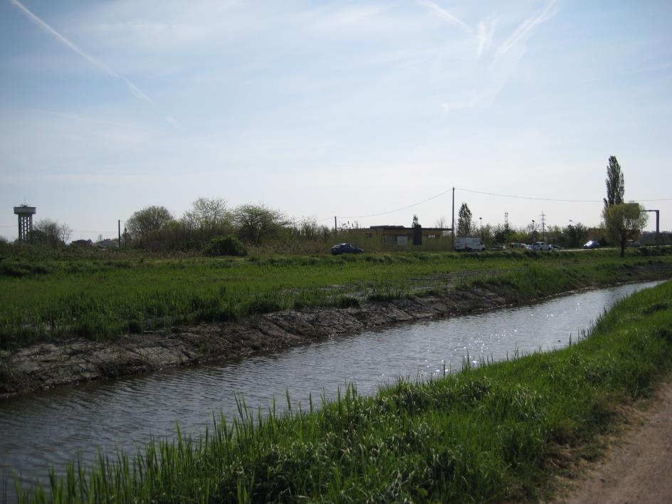 immobile terreno all'asta in Via Da Rio sud snc - 30015 Chioggia (VE) - 1