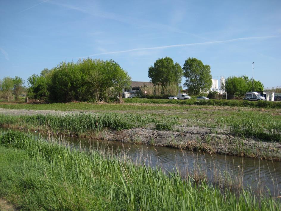 immobile terreno all'asta in Via Da Rio sud snc - 30015 Chioggia (VE) - 3