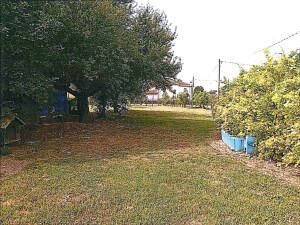 immobile appartamento all'asta in Via Guglielmo Marconi, 724 - 45020 Canda (RO) - 1
