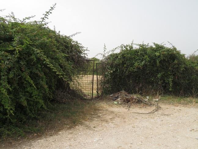 immobile terreno all'asta in via Aurelia km 55,500 civico 197 Frazione di Santa Severa - 00058 Santa Marinella (RM) - 2