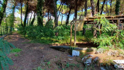 immobile hotel - albergo all'asta in Poveromo, Via Lungomare di Levante, 103 - 54100 Massa (MS) - 2