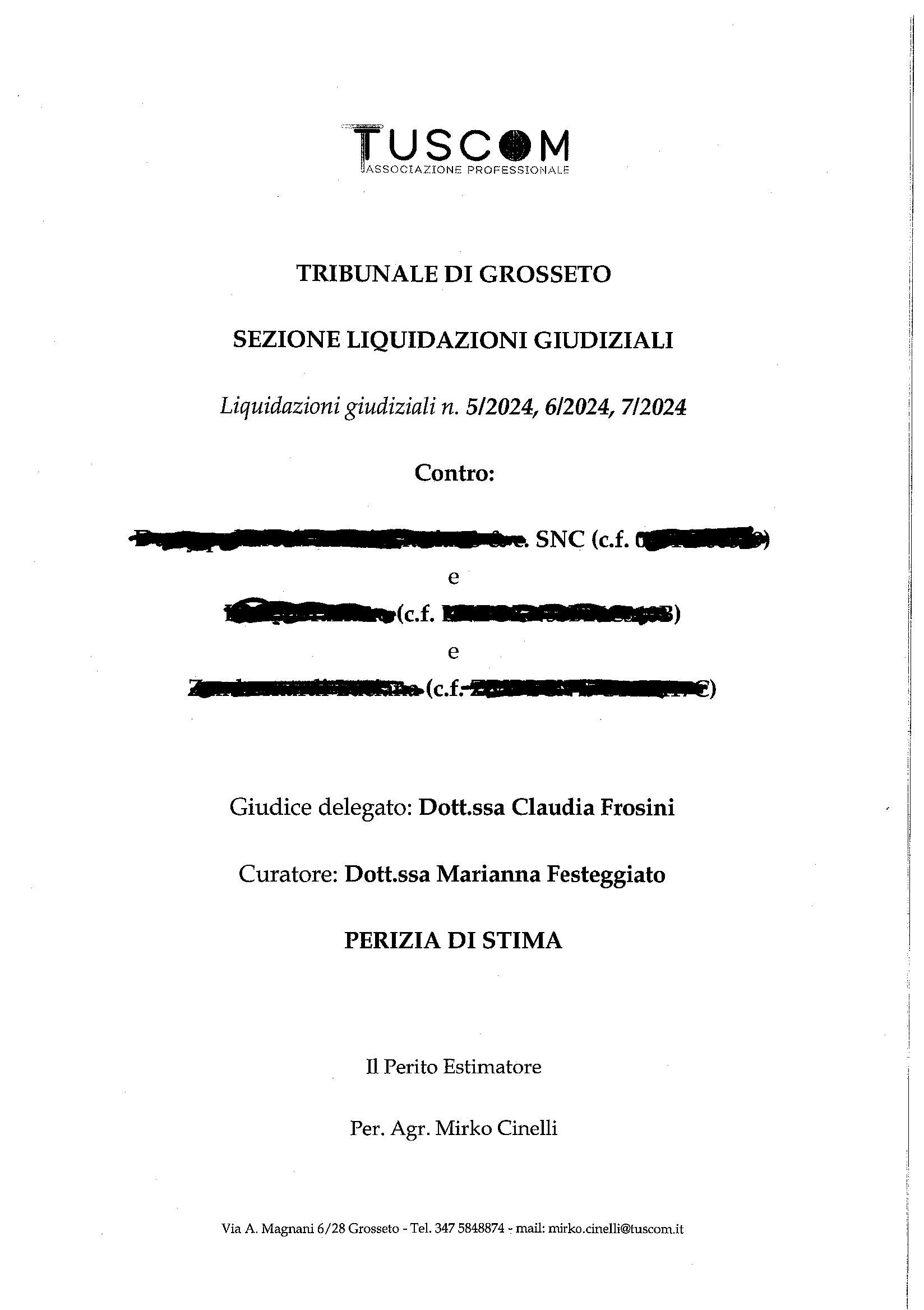 immobile terreno all'asta in località Ponti di Badia - Castiglione della Pescaia (GR) - 1