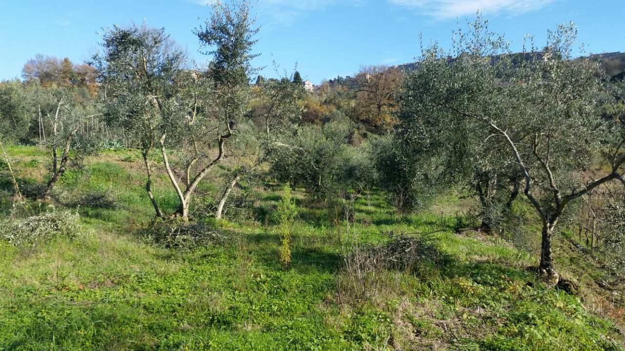 immobile casa singola all'asta in Località Pietrara n 3 - Ficulle (TR) - 3