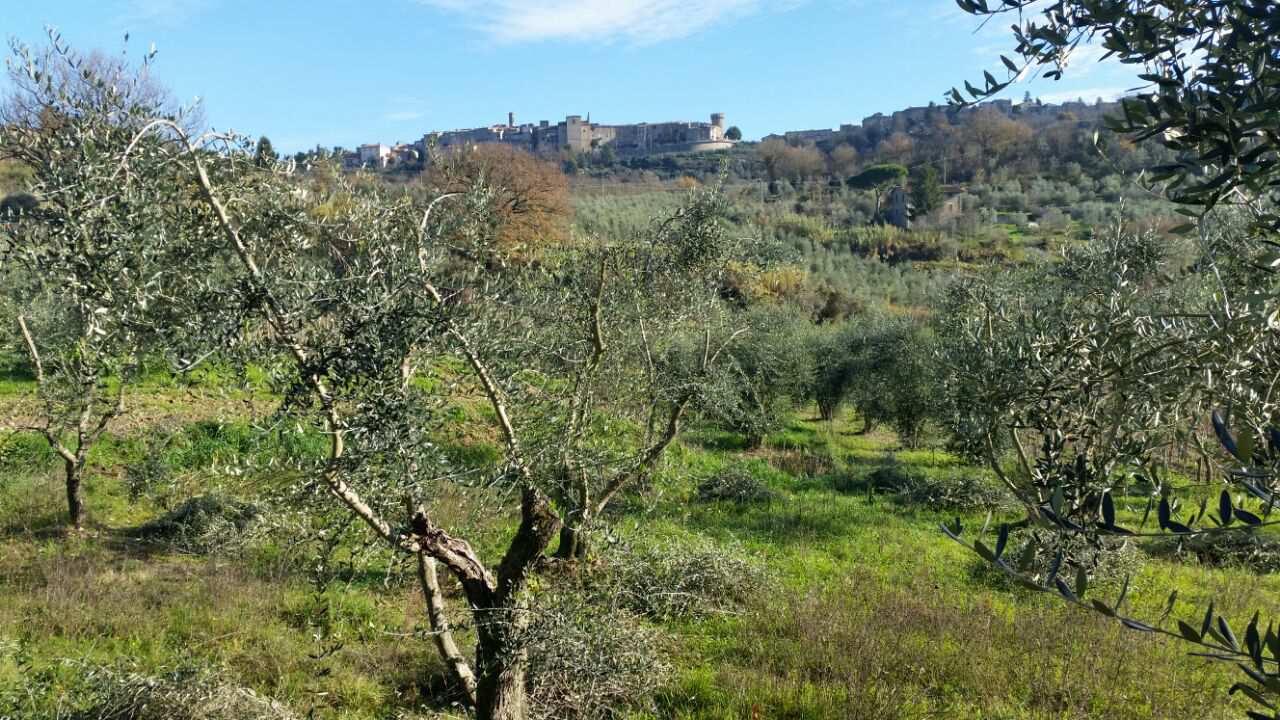 immobile casa singola all'asta in Località Pietrara n 3 - Ficulle (TR) - 4