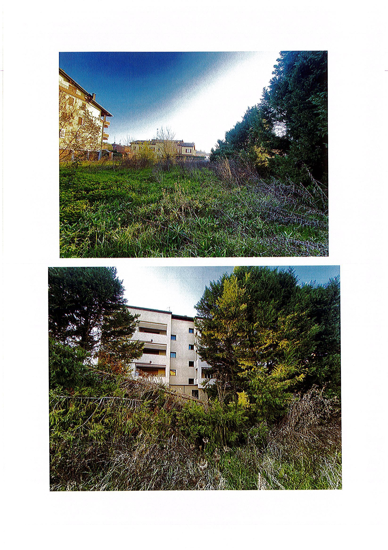 immobile terreno all'asta in Via Comi Antonio - 44042 Cento (FE) - 5