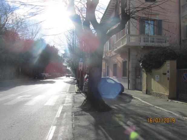 immobile appartamento all'asta in Via M Buonarroti 101 - 55049 Viareggio (LU) - 1