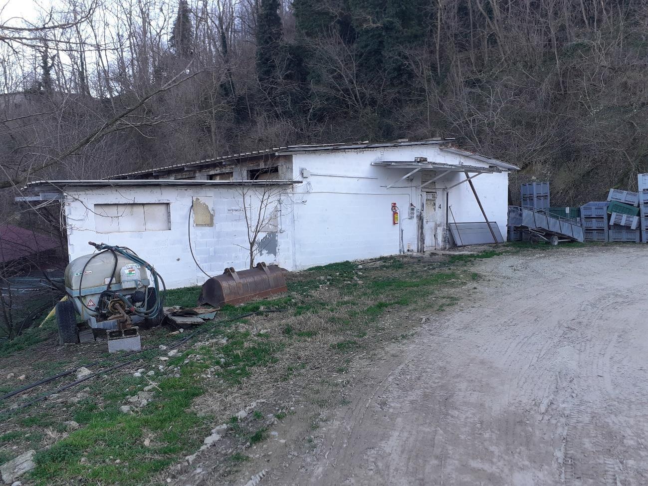 immobile casa singola all'asta in località San Carlo, Via Montebellino, 2300 - 47023 Cesena (FC) - 5