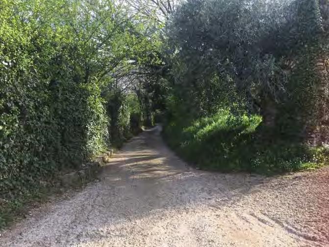 immobile appartamento all'asta in VIA CONTRADA DI COMUNE - Velletri (RM) - 3