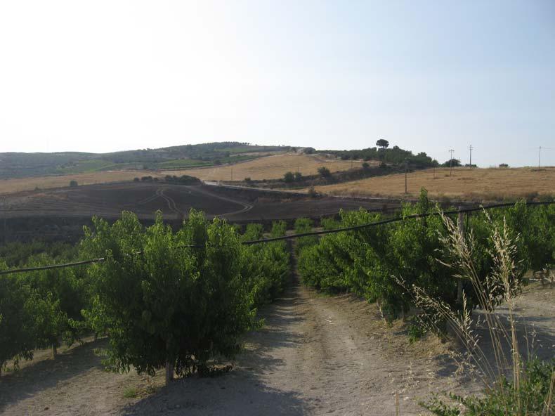 immobile terreno all'asta in contrada Priorato, 93011 Butera CL, Italia Butera, Caltanissetta - 1