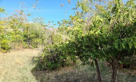 immobile terreno all'asta in Pellaro, Contrada Lume - 89124 Reggio di Calabria (RC) - 3