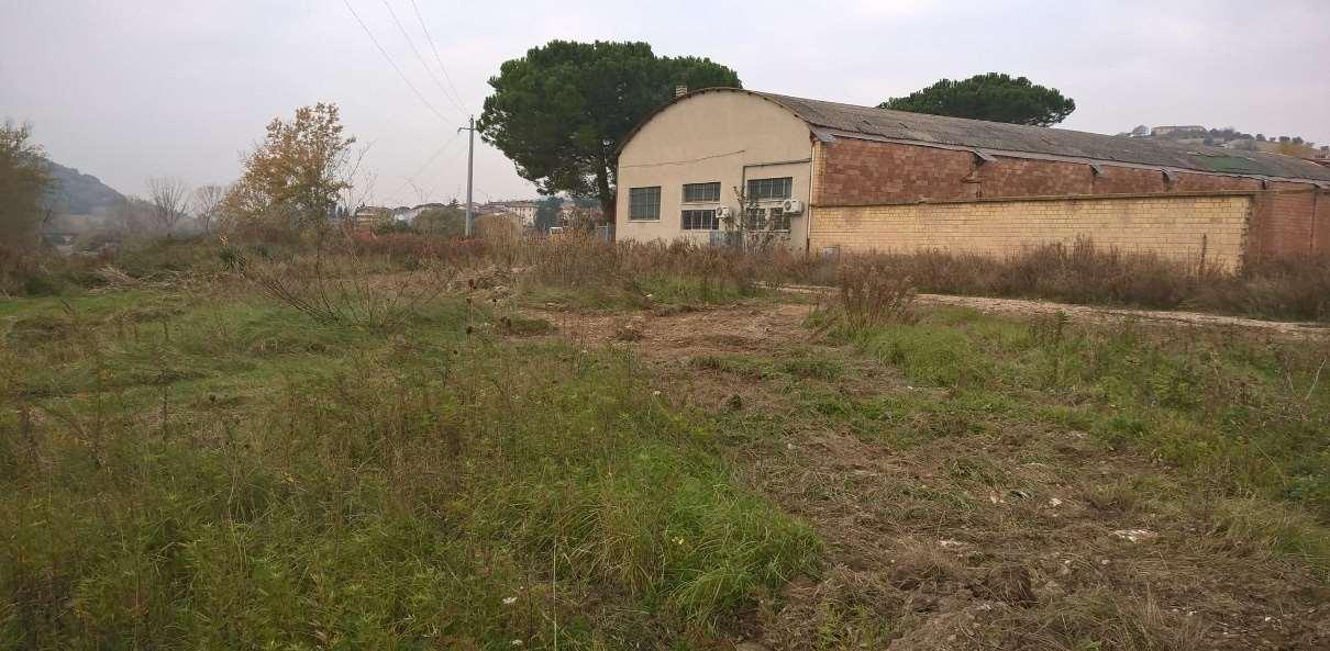 immobile attivita commerciale all'asta in CONTRADA CALDERETTE DI FERMO - 63900 Fermo (FM) - 1