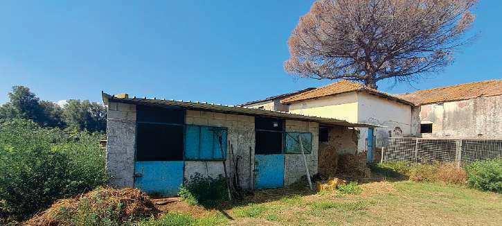 immobile terreno all'asta in 89013 Gioia Tauro RC, Italia Gioia Tauro, Reggio Calabria - 4