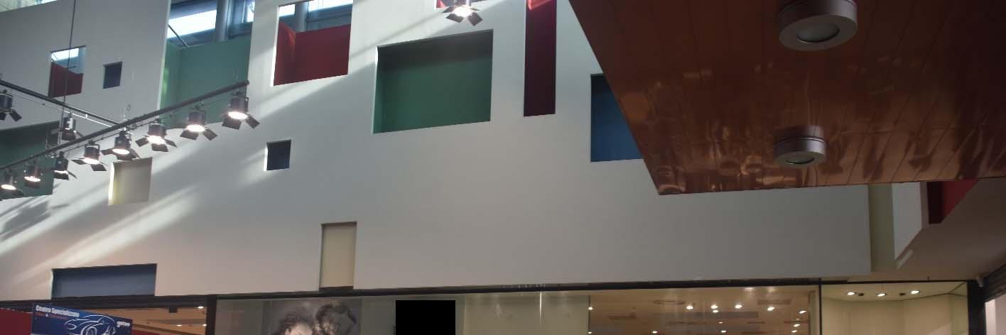 immobile attivita commerciale all'asta in Frazione Montale - Via Emilia Parmense  120 - Piacenza (PC) - 5