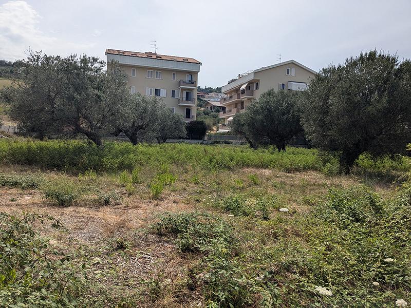 immobile terreno all'asta in Via Muracche II - 64018 Tortoreto (TE) - 3