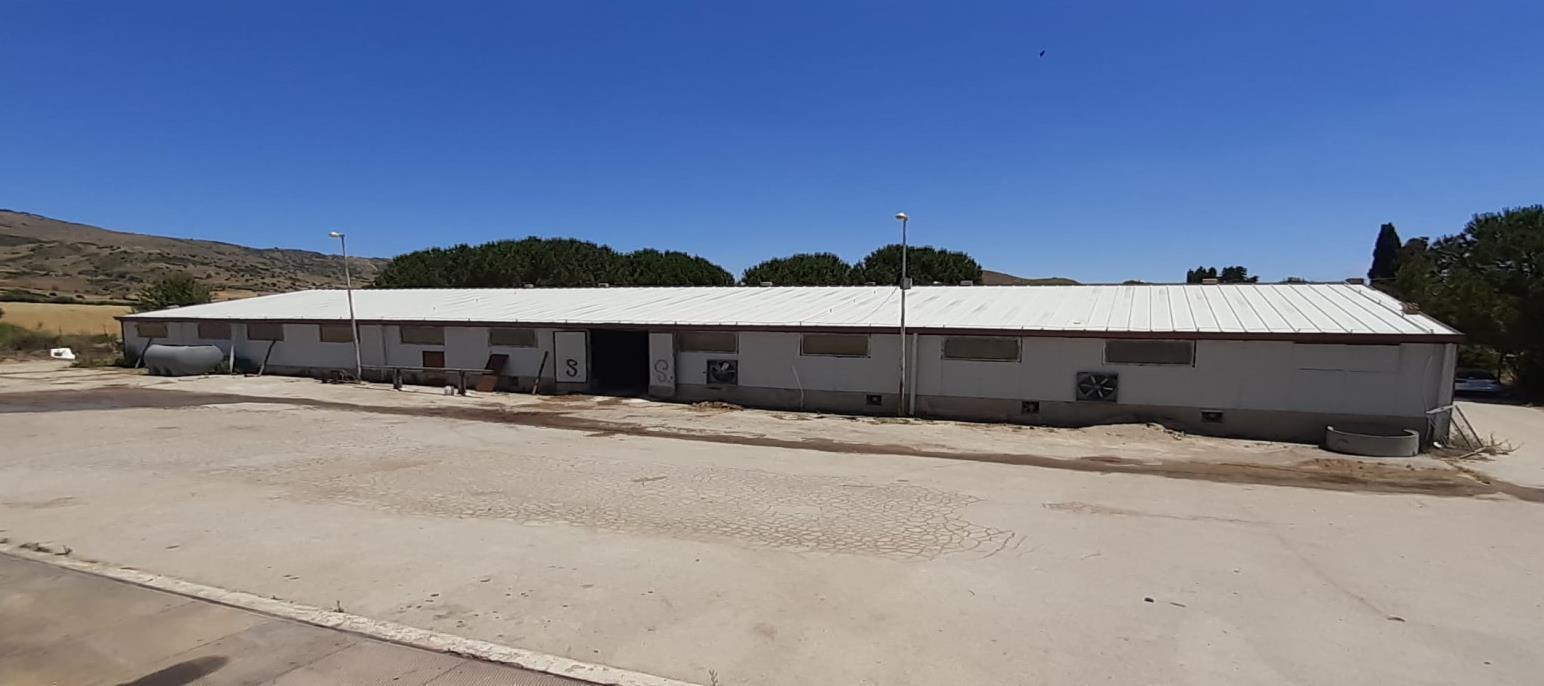 immobile attivita commerciale all'asta in C/DA FICILINO SN - 94014 Nicosia (EN) - 5