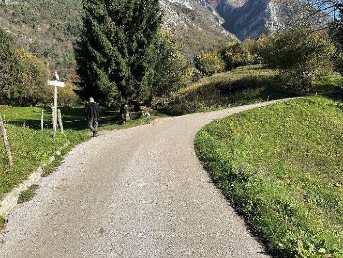immobile terreno all'asta in Localita' Besta - 38067 Ledro (TN) - 1