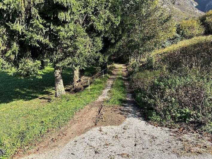 immobile terreno all'asta in Localita' Besta - 38067 Ledro (TN) - 2